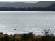 Launceston TAS 7250