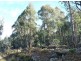 Launceston TAS 7250