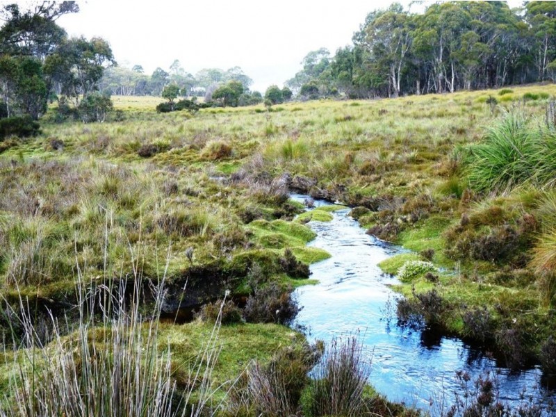 Launceston TAS 7250