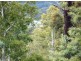 Launceston TAS 7250