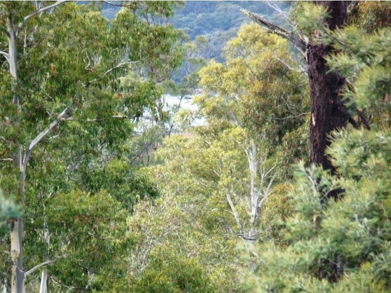 Launceston TAS 7250