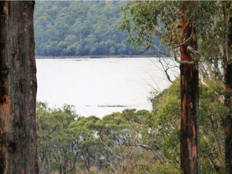 Launceston TAS 7250