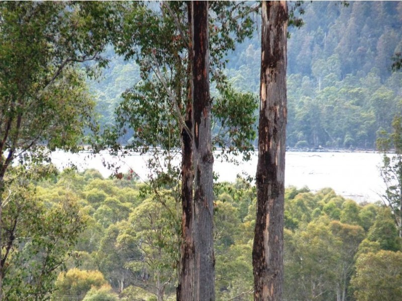 Launceston TAS 7250