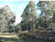 Launceston TAS 7250