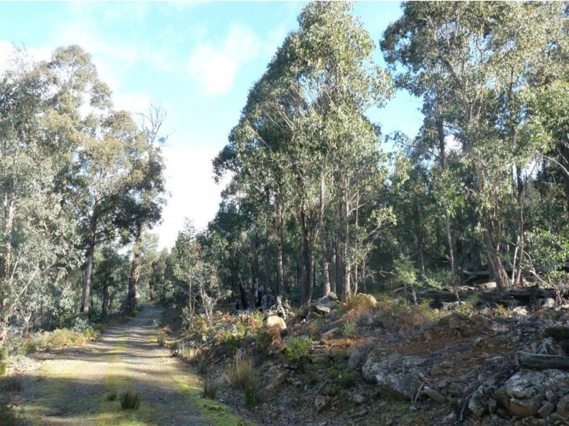 Launceston TAS 7250