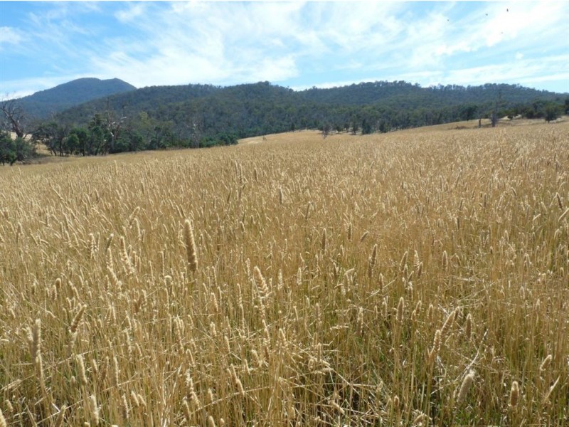 1061 Royal George Road, Avoca TAS 7213