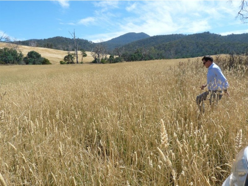 1061 Royal George Road, Avoca TAS 7213