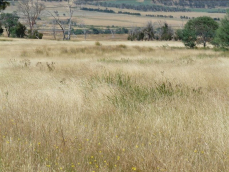 1061 Royal George Road, Avoca TAS 7213