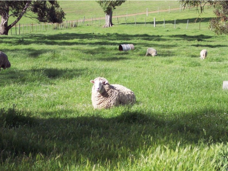 430 Thousand Acre Lane, Rosegarland TAS 7140