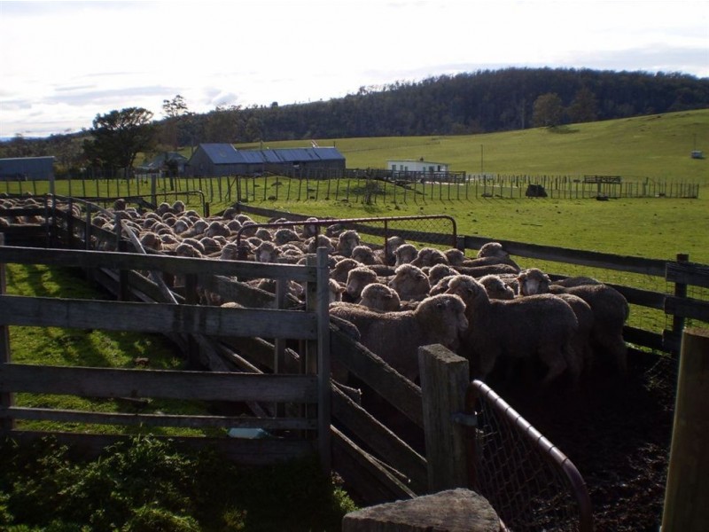 430 Thousand Acre Lane, Rosegarland TAS 7140