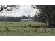 270 River Road, Deloraine TAS 7304