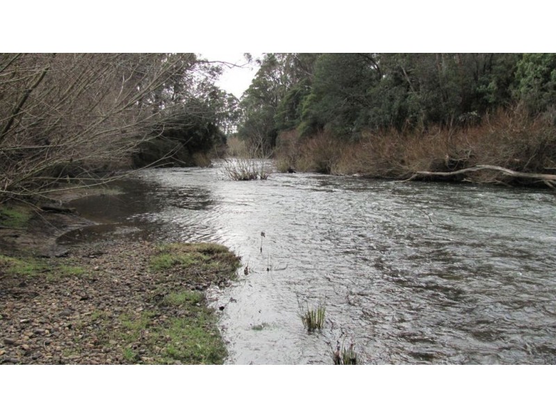 270 River Road, Deloraine TAS 7304