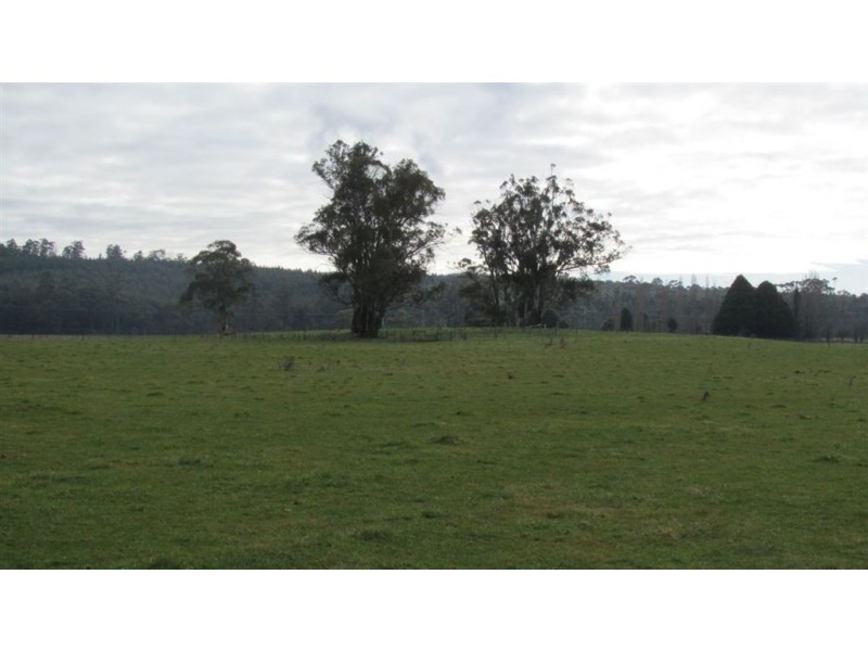 270 River Road, Deloraine TAS 7304