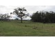 270 River Road, Deloraine TAS 7304