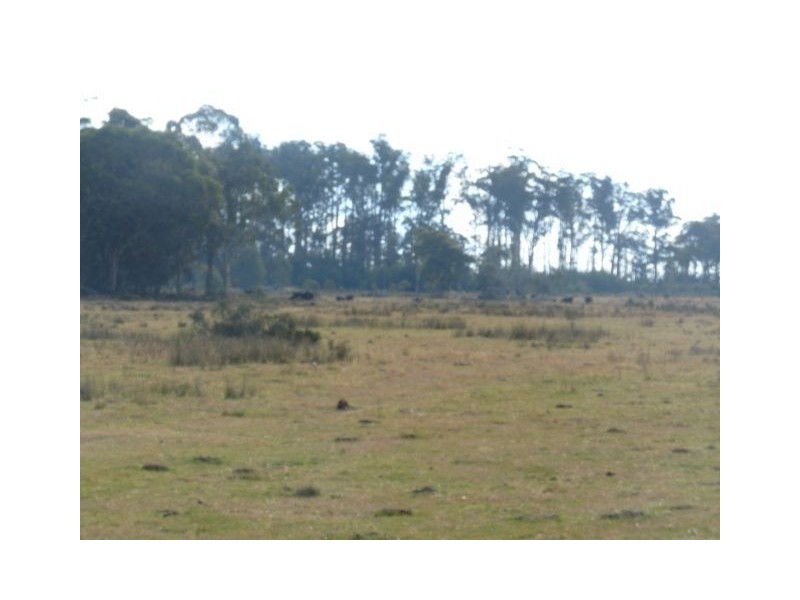 ‘Paradise Plains’, Arthurs Lake TAS 7030