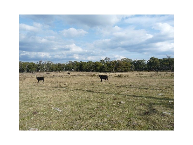 ‘Paradise Plains’, Arthurs Lake TAS 7030