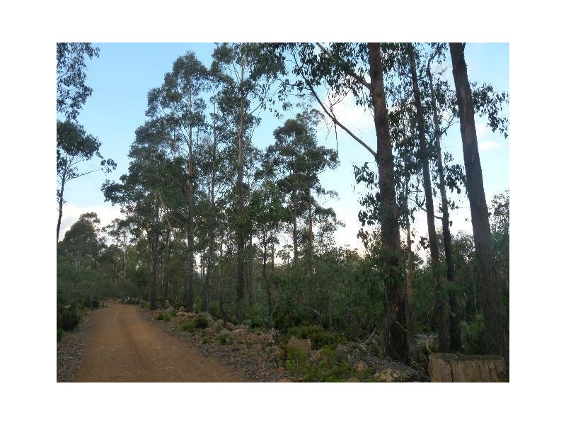 ‘Paradise Plains’, Arthurs Lake TAS 7030
