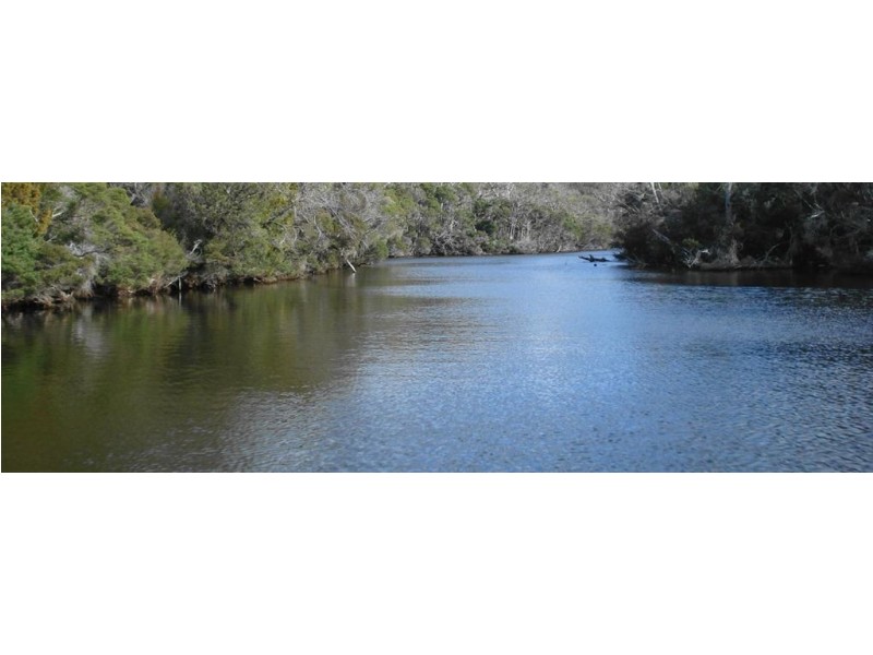 Musselroe Estate, Gladstone TAS 7264