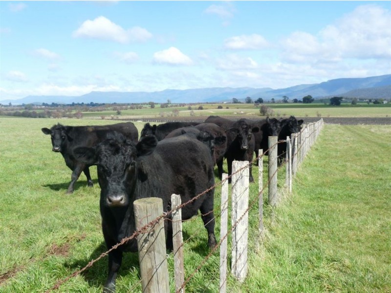 361 Station Lane, Hagley TAS 7292