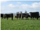 ‘Caseys’ Deloraine District, Deloraine TAS 7304