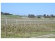 Calthorpe Orchard, Sidmouth TAS 7270