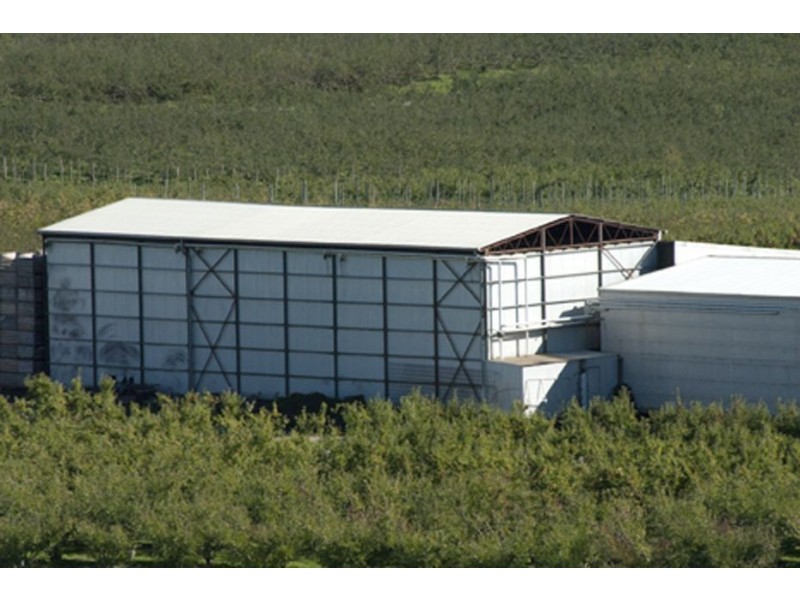 Calthorpe Orchard, Sidmouth TAS 7270