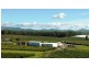 Calthorpe Orchard, Sidmouth TAS 7270
