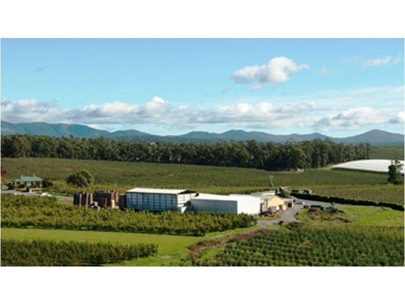Calthorpe Orchard, Sidmouth TAS 7270