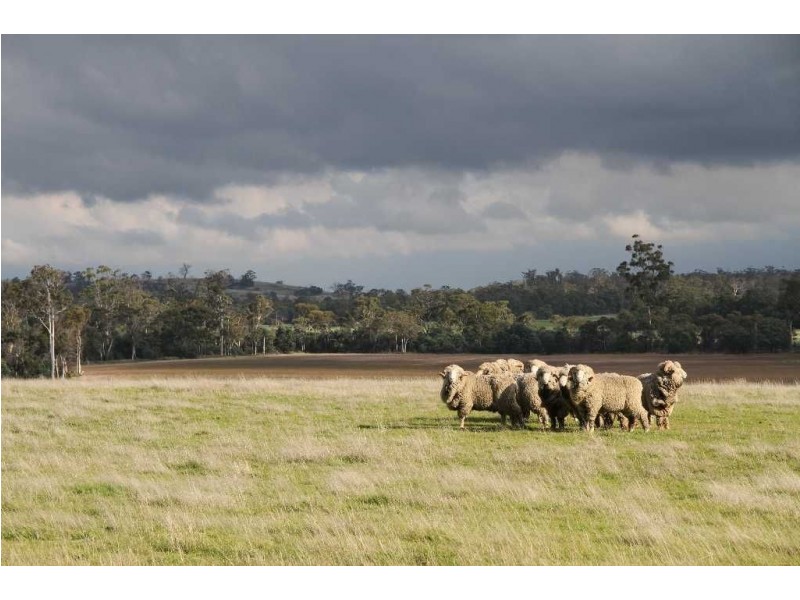 Fairfield, Midland Highway, Epping Forest TAS 7211