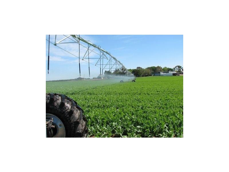 Fairfield, Midland Highway, Epping Forest TAS 7211