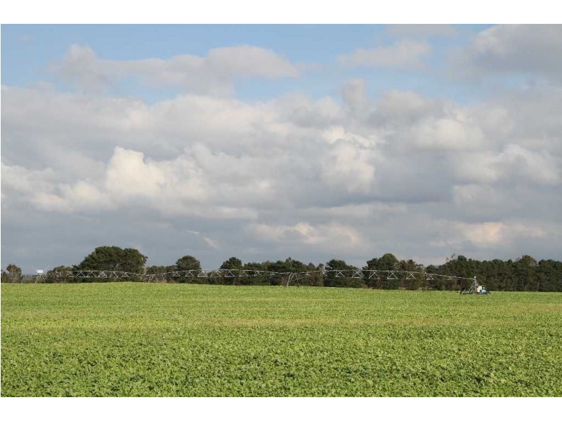 Fairfield, Midland Highway, Epping Forest TAS 7211