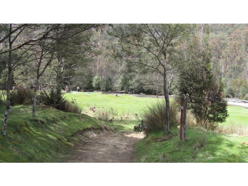 Pine Hut Plain, Mersey Forest Road, Liena TAS 7304