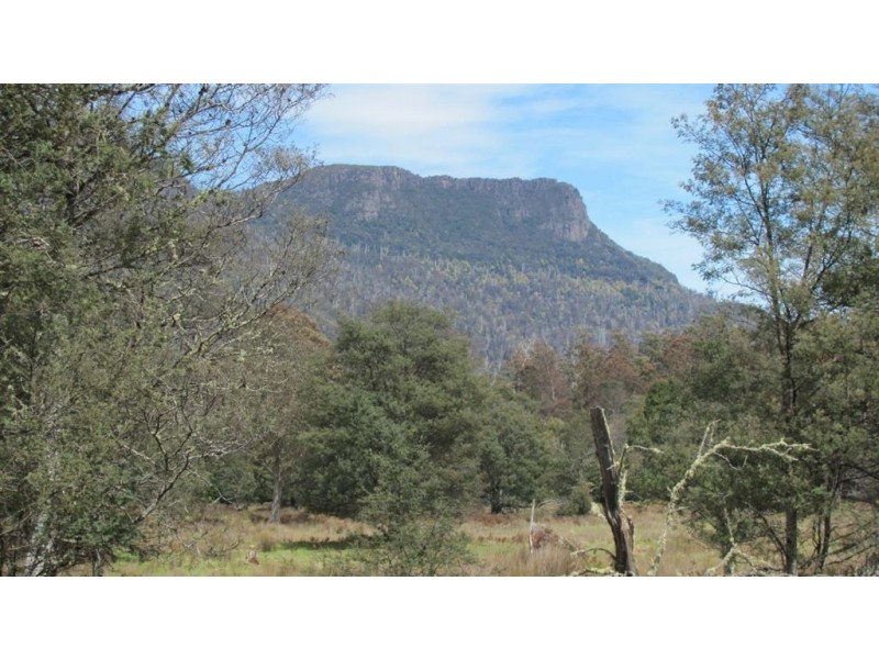 Pine Hut Plain, Mersey Forest Road, Liena TAS 7304