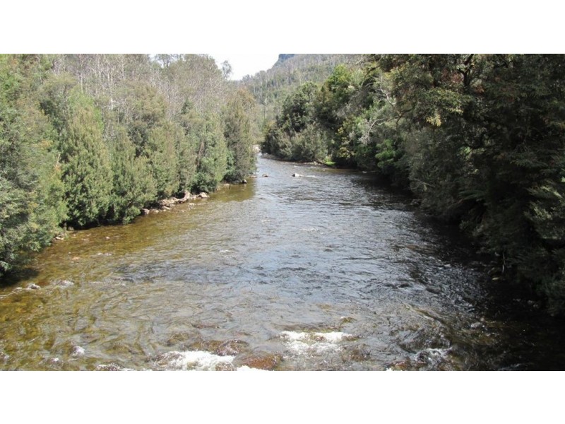 Pine Hut Plain, Mersey Forest Road, Liena TAS 7304