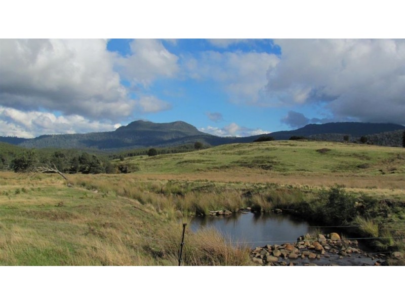 Forest Lodge, Forest Lodge Road, Pyengana TAS 7216