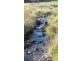 Forest Lodge, Forest Lodge Road, Pyengana TAS 7216