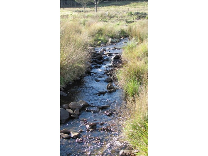 Forest Lodge, Forest Lodge Road, Pyengana TAS 7216