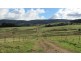 Forest Lodge, Forest Lodge Road, Pyengana TAS 7216