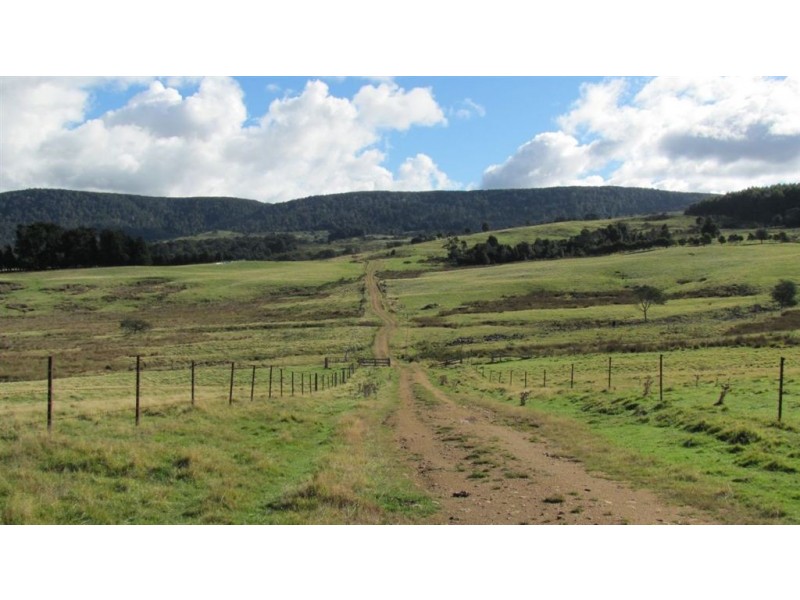 Forest Lodge, Forest Lodge Road, Pyengana TAS 7216