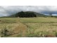 Forest Lodge, Forest Lodge Road, Pyengana TAS 7216