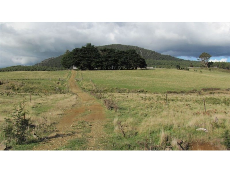Forest Lodge, Forest Lodge Road, Pyengana TAS 7216