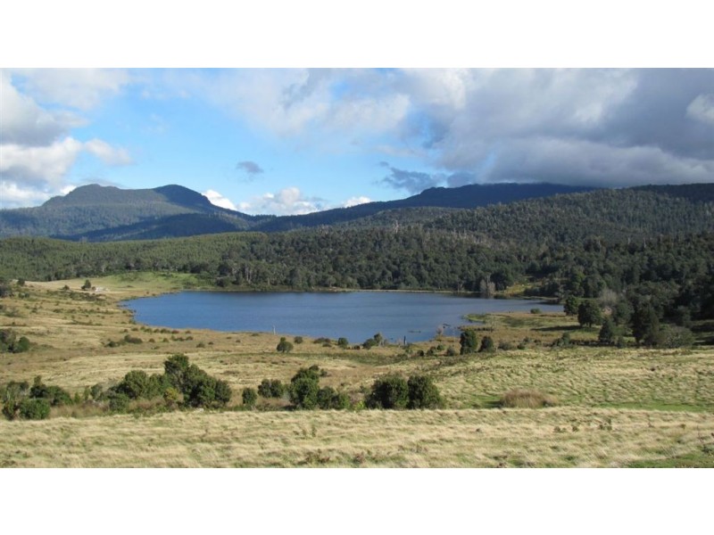 Forest Lodge, Forest Lodge Road, Pyengana TAS 7216