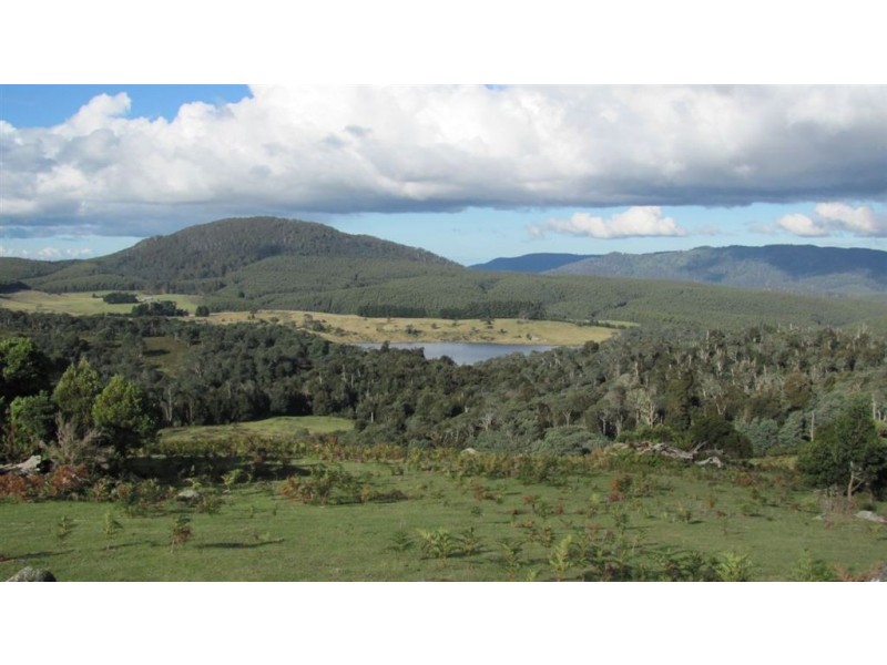 Forest Lodge, Forest Lodge Road, Pyengana TAS 7216