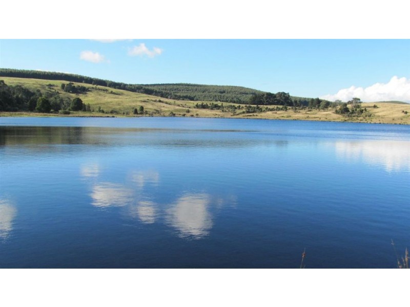 Forest Lodge, Forest Lodge Road, Pyengana TAS 7216