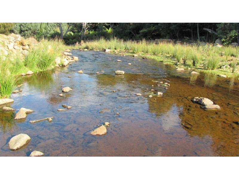 Forest Lodge, Forest Lodge Road, Pyengana TAS 7216