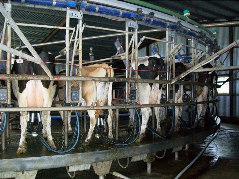 Horizon Glen, Lymwood TAS 7256