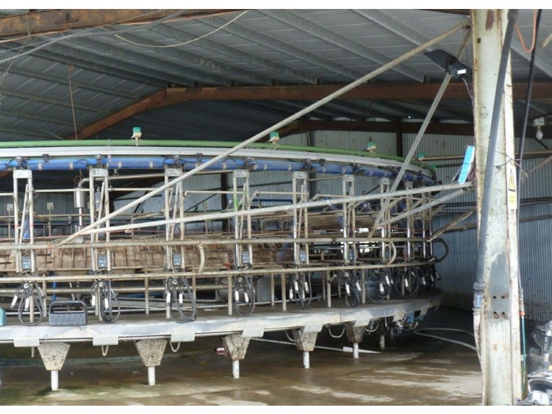 Horizon Glen, Lymwood TAS 7256