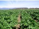 5467 Poatina Road, Cressy TAS 7302