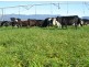 5467 Poatina Road, Cressy TAS 7302
