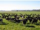 5467 Poatina Road, Cressy TAS 7302
